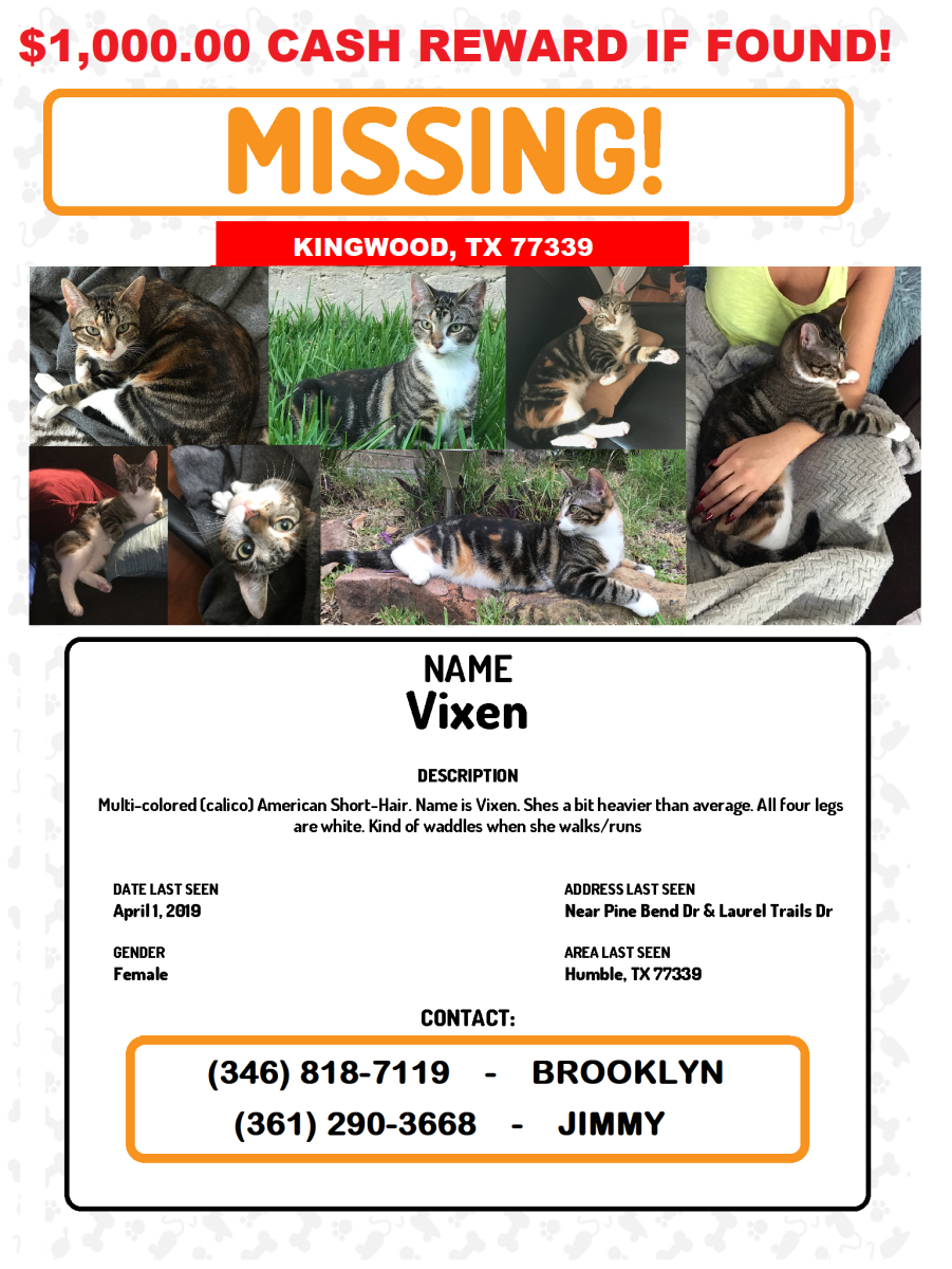 Image of Vixon, Lost Cat
