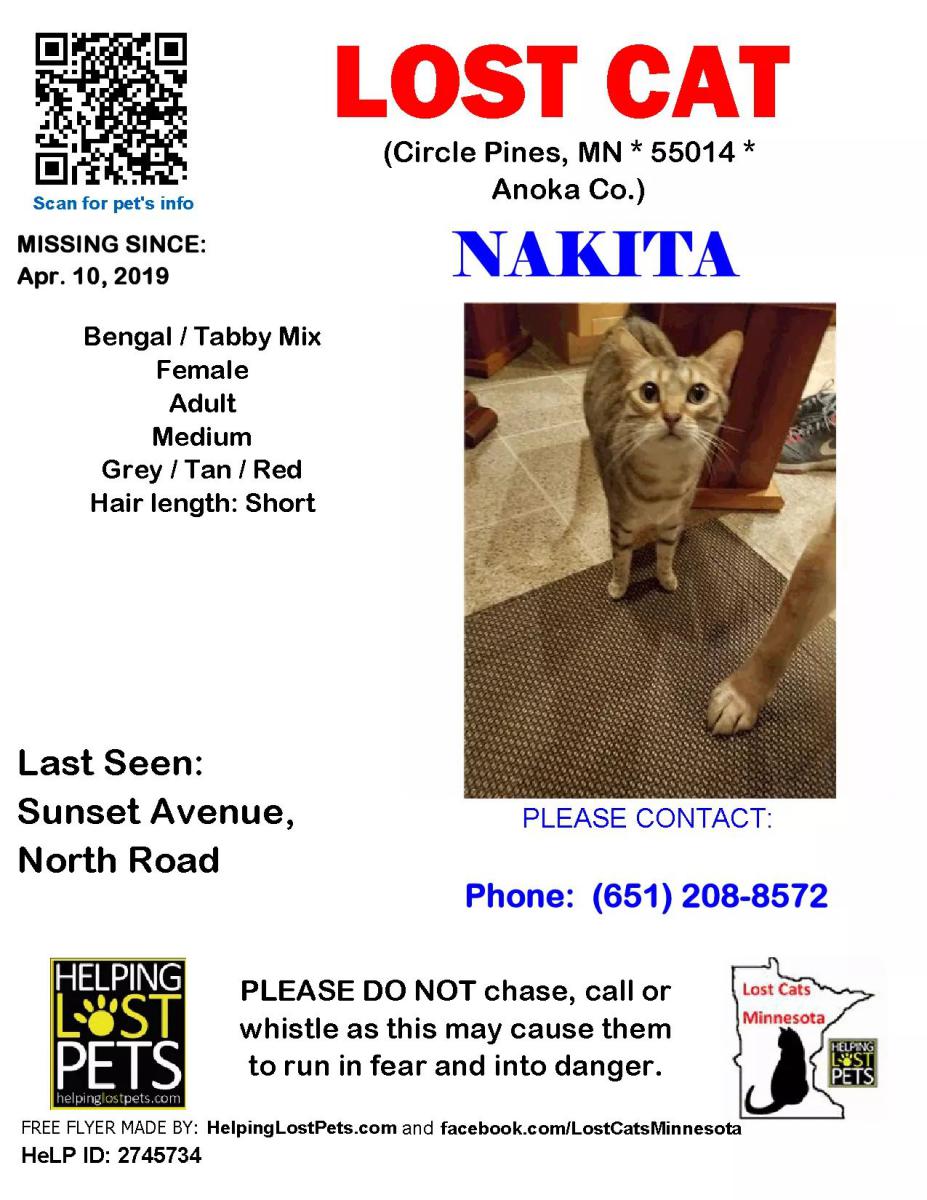 Image of Nakita, Lost Cat