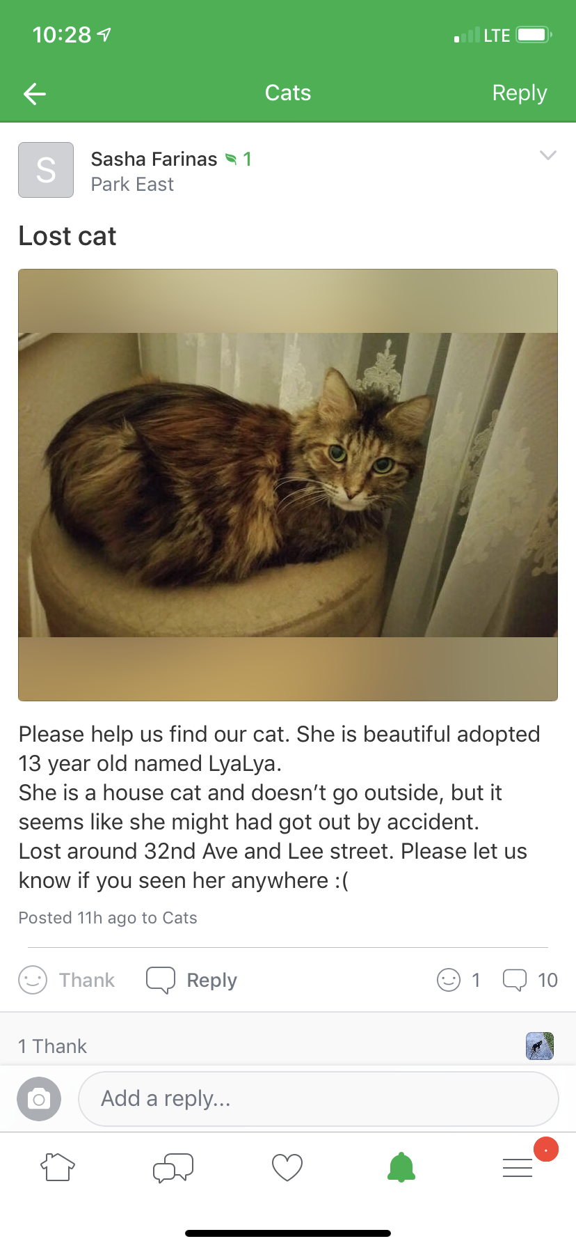 Image of Lyalya, Lost Cat