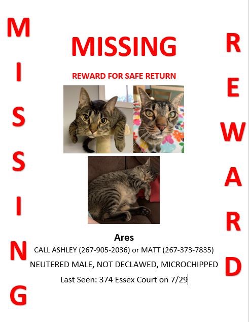 Image of Ares, Lost Cat