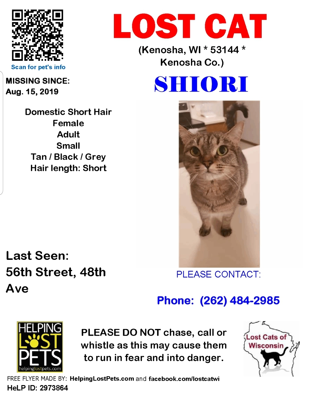 Image of Shiori, Lost Cat