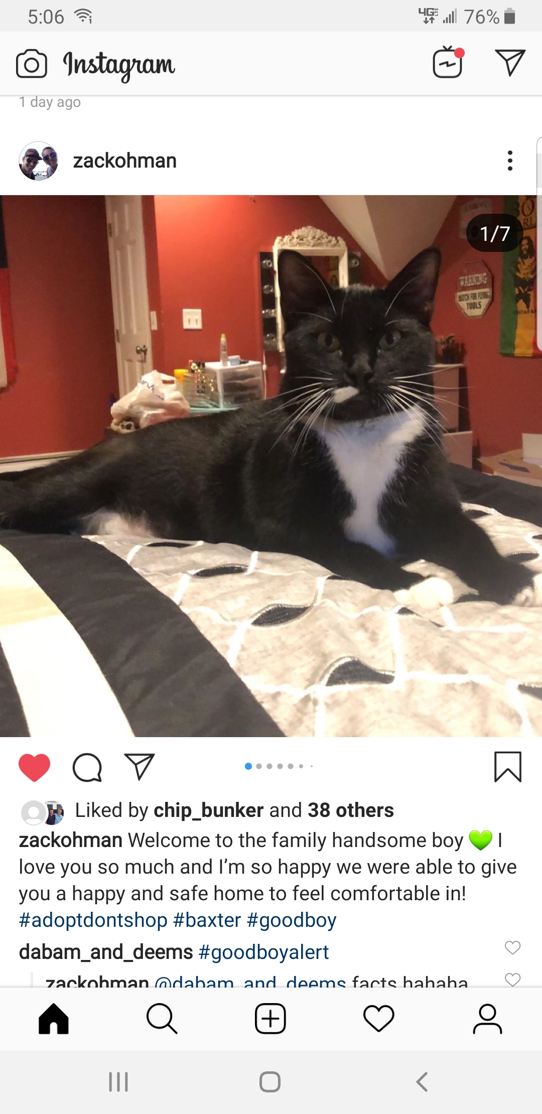 Image of Baxter, Lost Cat