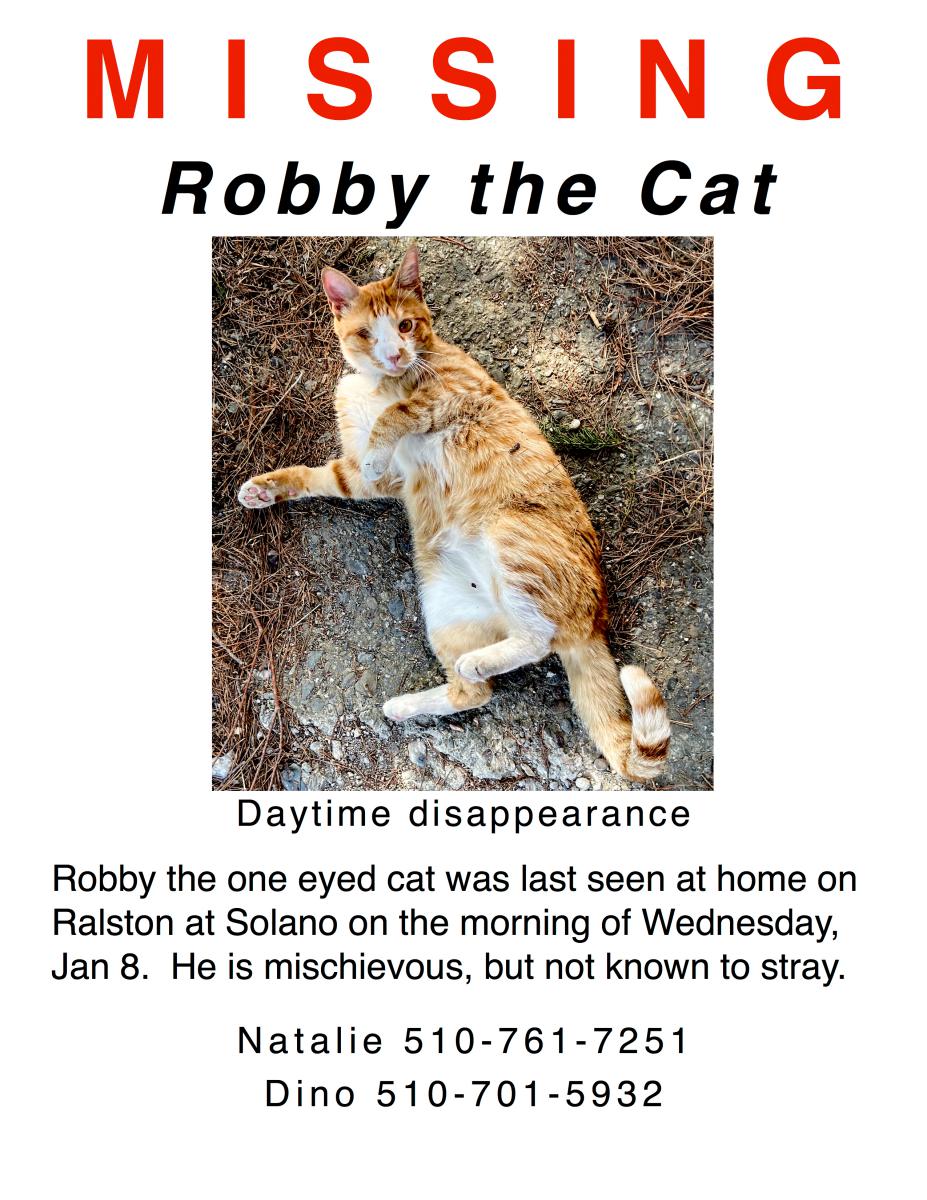 Image of Robbby, Lost Cat