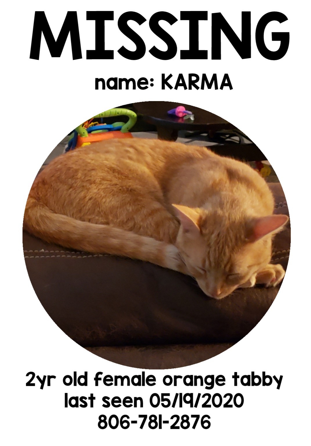 Image of Karma, Lost Cat