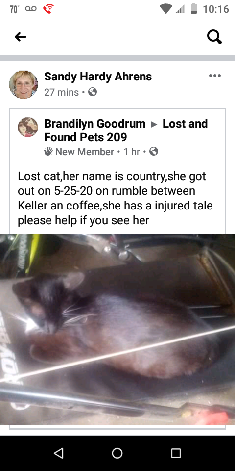 Image of Country, Lost Cat