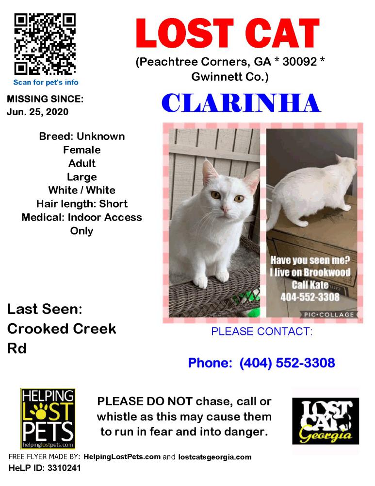 Image of Clarinha, Lost Cat