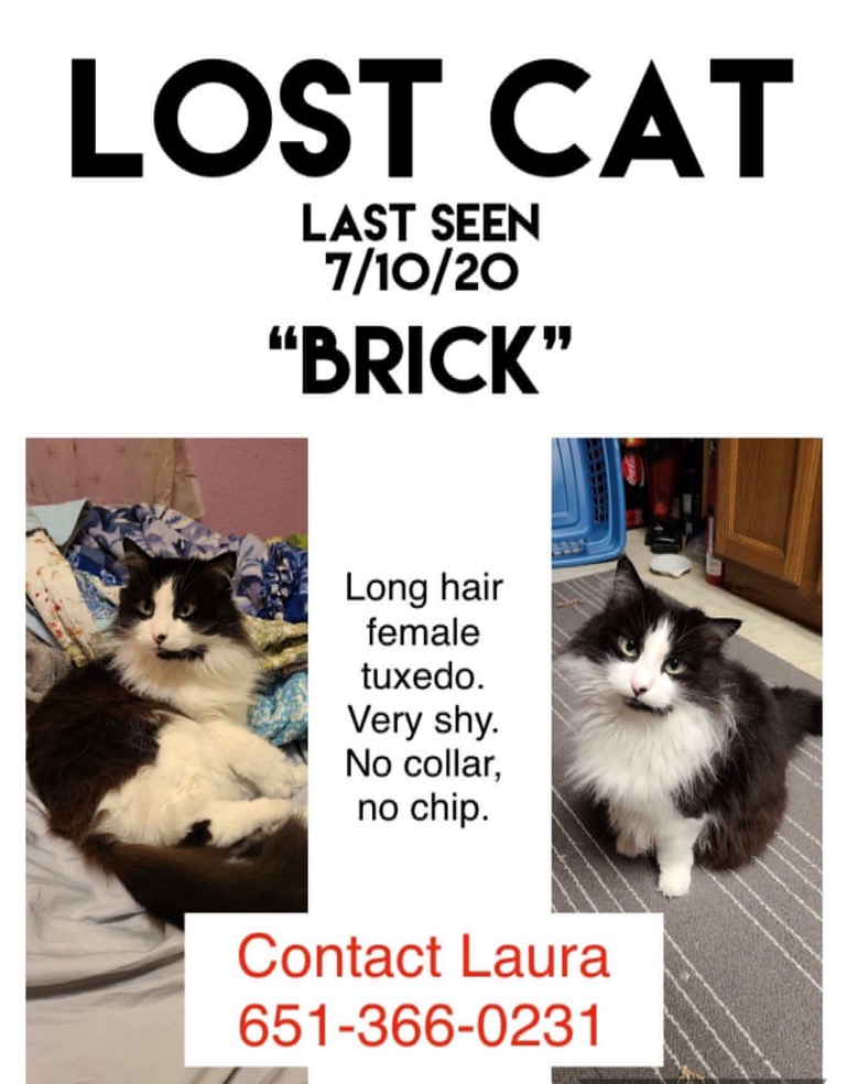 Image of Brick, Lost Cat