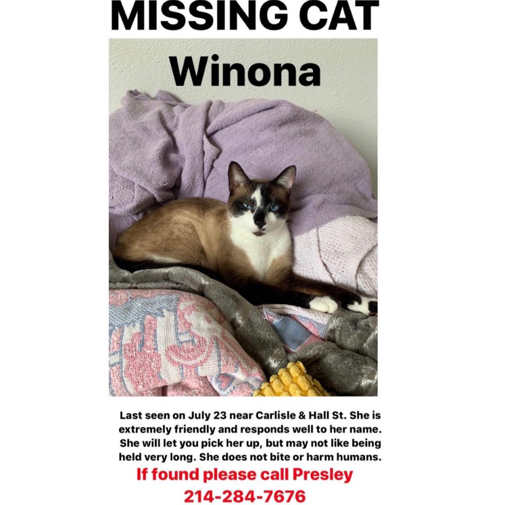 Image of Winona, Lost Cat