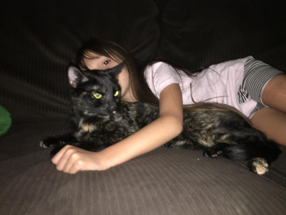 Image of Ruth, Lost Cat