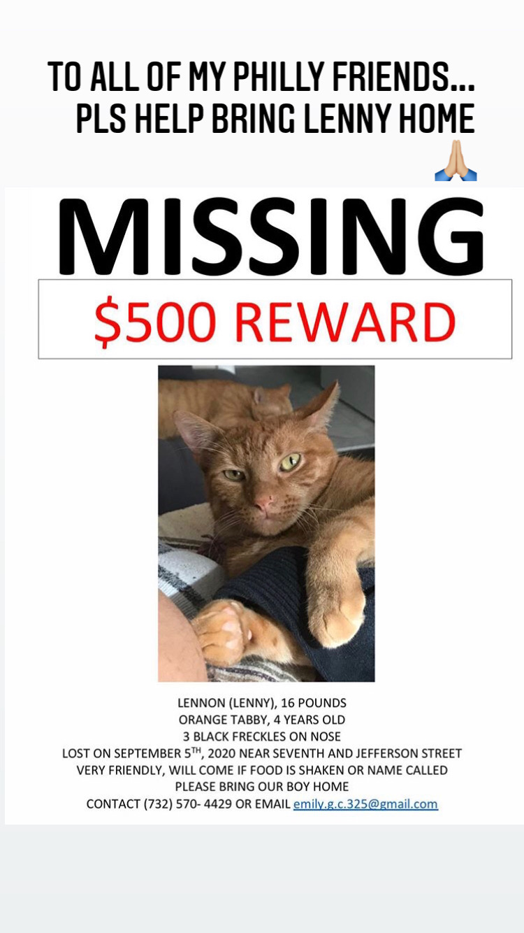 Image of Lennon/ lenny, Lost Cat