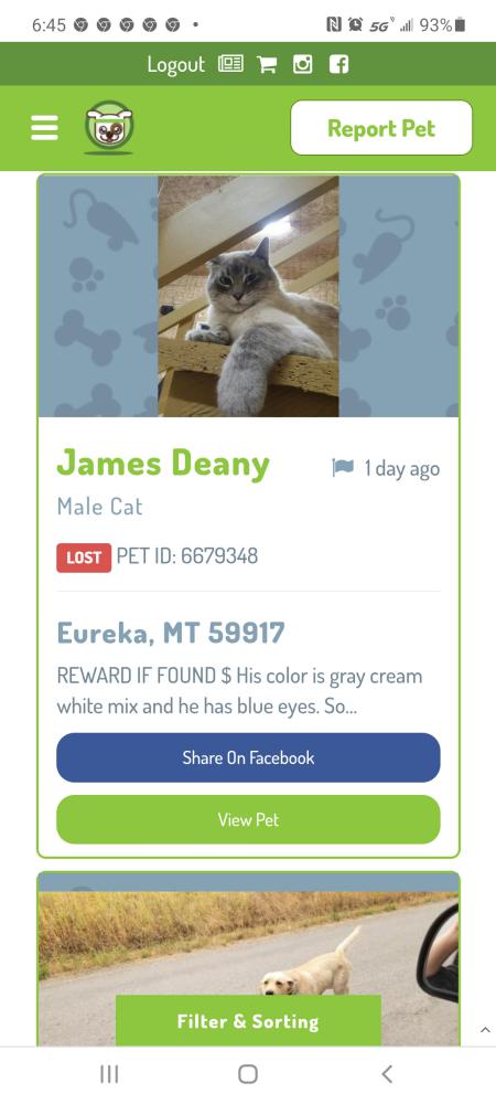 Image of James Deany, Lost Cat