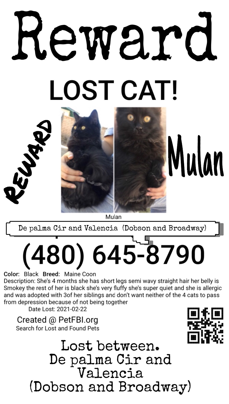 Image of Mulan, Lost Cat