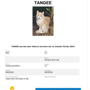 Lost Cat Tangee
