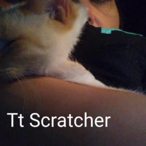 Lost Cat tt scratcher