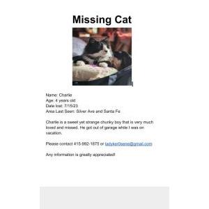Lost Cat Charlie