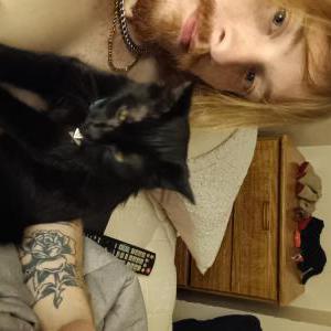 Lost Cat Inky