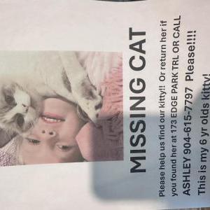 Image of Snowflake, Lost Cat