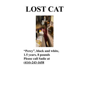 Lost Cat Percy