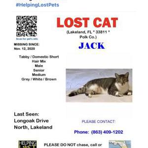 2nd Image of Jack, Lost Cat