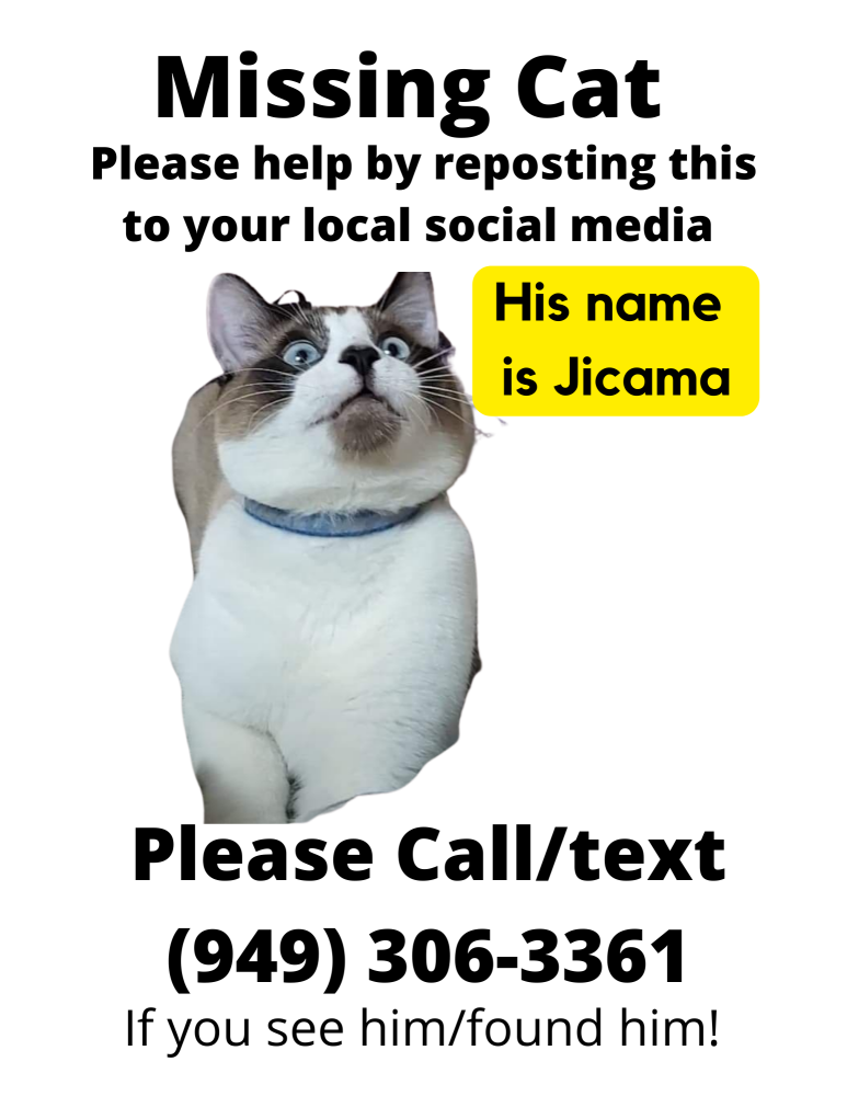 Image of Jicama (hickama), Lost Cat