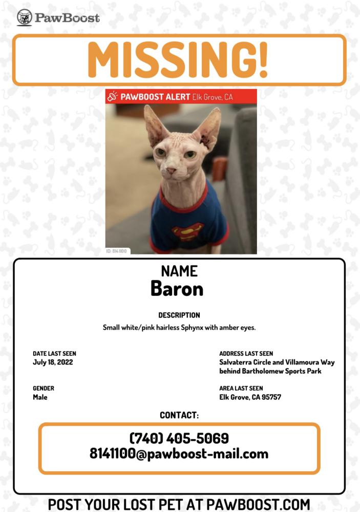 Image of Baron, Lost Cat