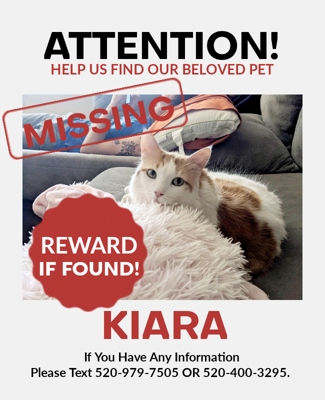 Image of Kiara, Lost Cat