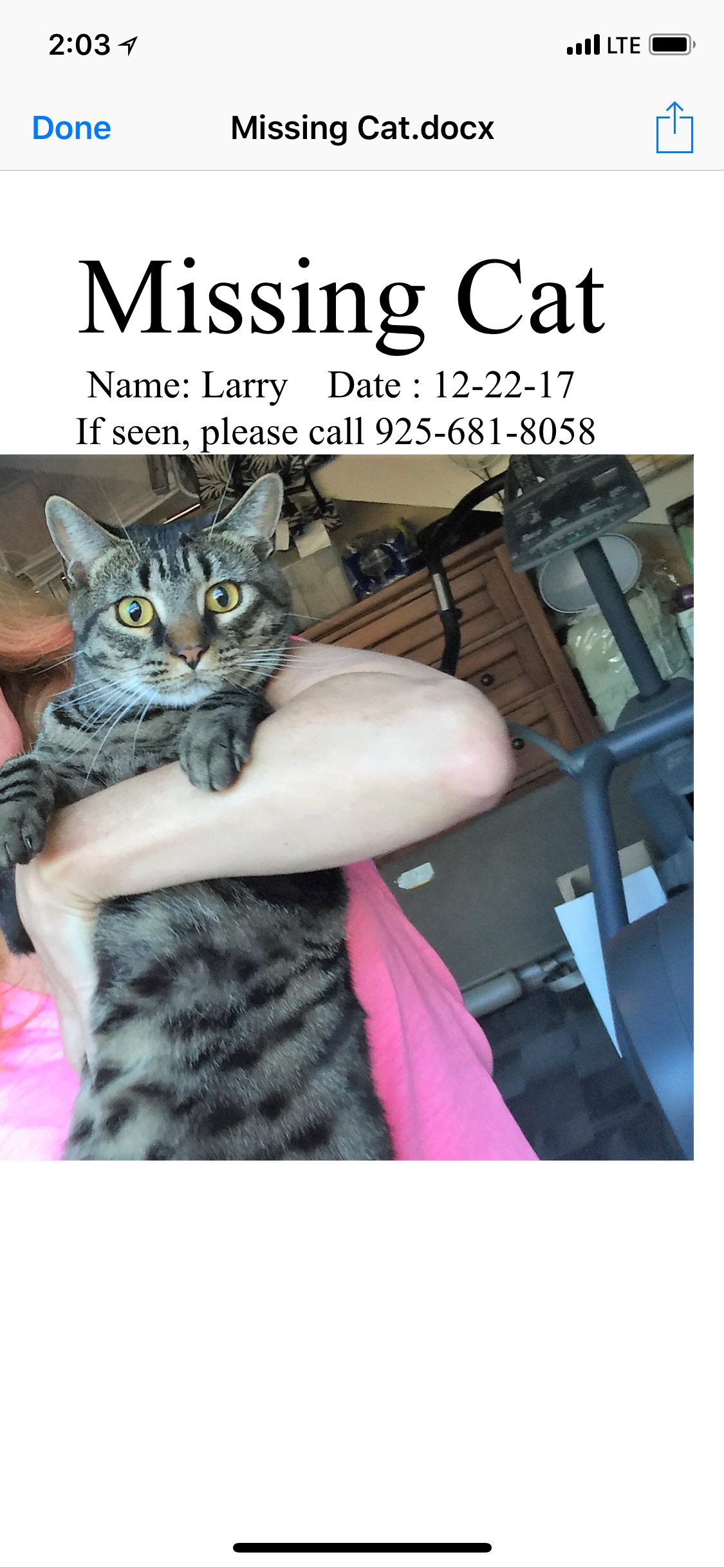 Image of Larry(or buddy), Lost Cat