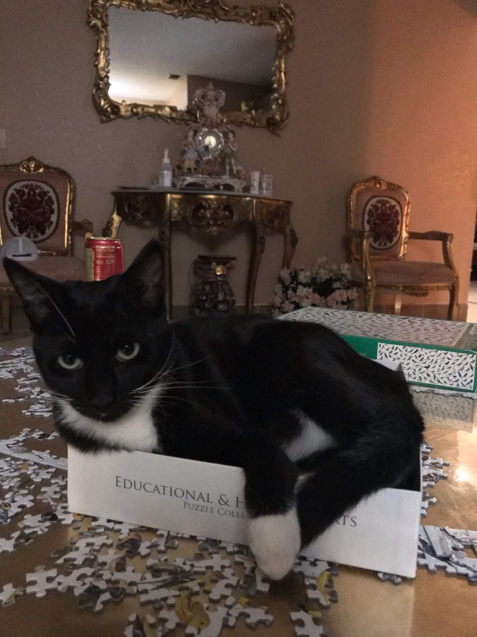 Image of boots mejia, Lost Cat