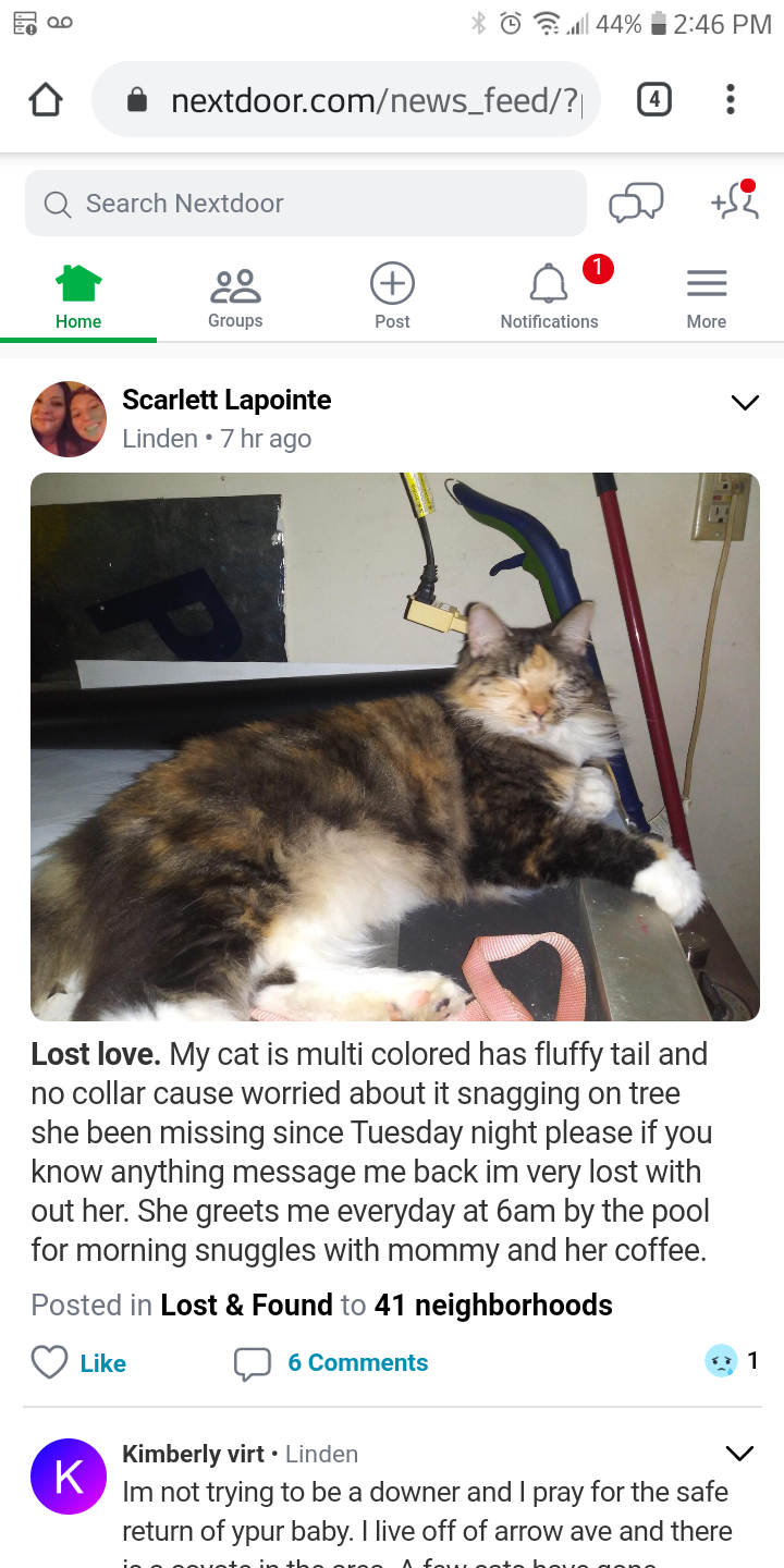 spring hill lost and found