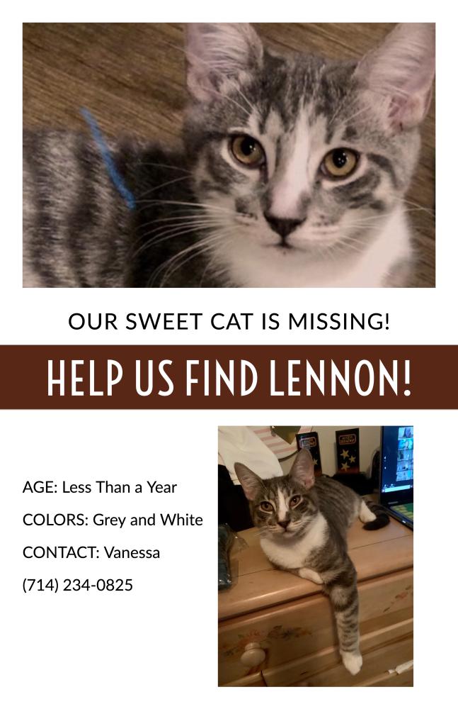 Image of Lennon, Lost Cat