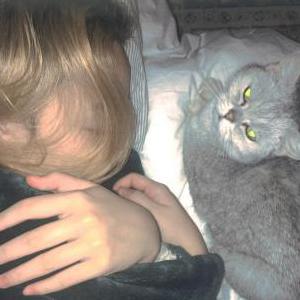 Lost Cat Lucky