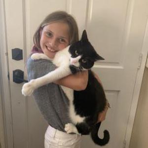 Lost Cat Teddy