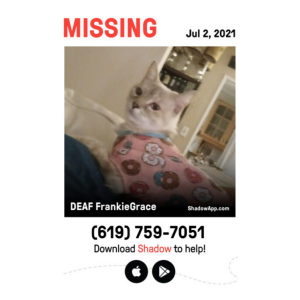 Lost Cat DEAF FrankieGrace