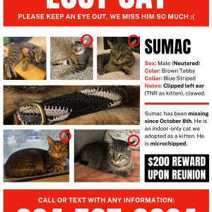 Lost Cat Sumac