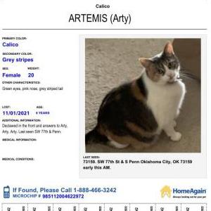 Lost Cat Artemis