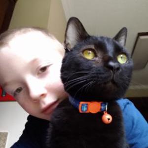 Lost Cat Licorice