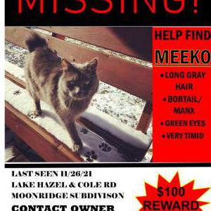 Lost Cat Meeko
