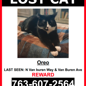 Lost Cat Oreo