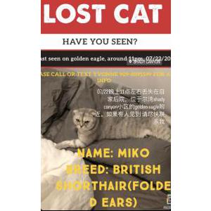 Image of miko, Lost Cat