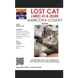 Lost Cat Xena