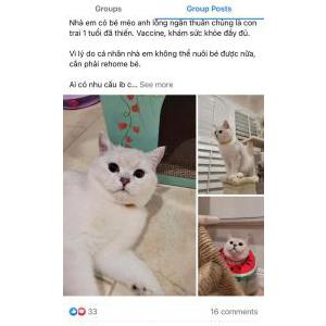 Lost Cat Mun