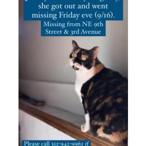 Lost Cat Jonesy