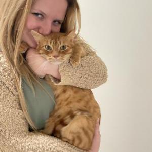 Image of Garfield, Lost Cat