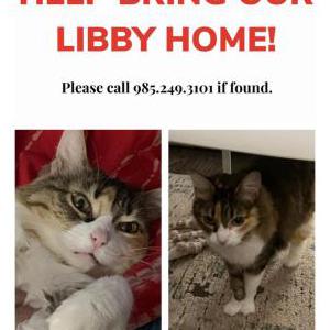 Lost Cat Libby