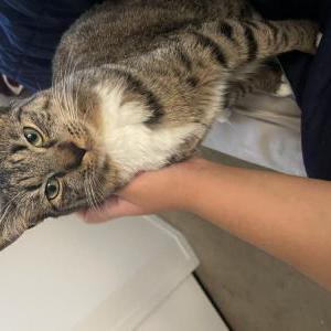 Lost 2 Betty (NV)