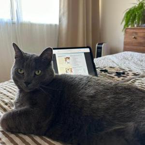 Lost 2 Albus (CA)