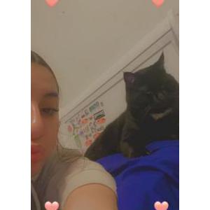 Image of Bruce Wayne Contrera, Lost Cat