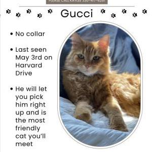 Found 2 Gucci