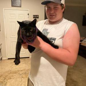 Image of Gary, Lost Cat
