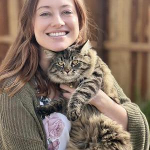 Image of Cleo, Lost Cat
